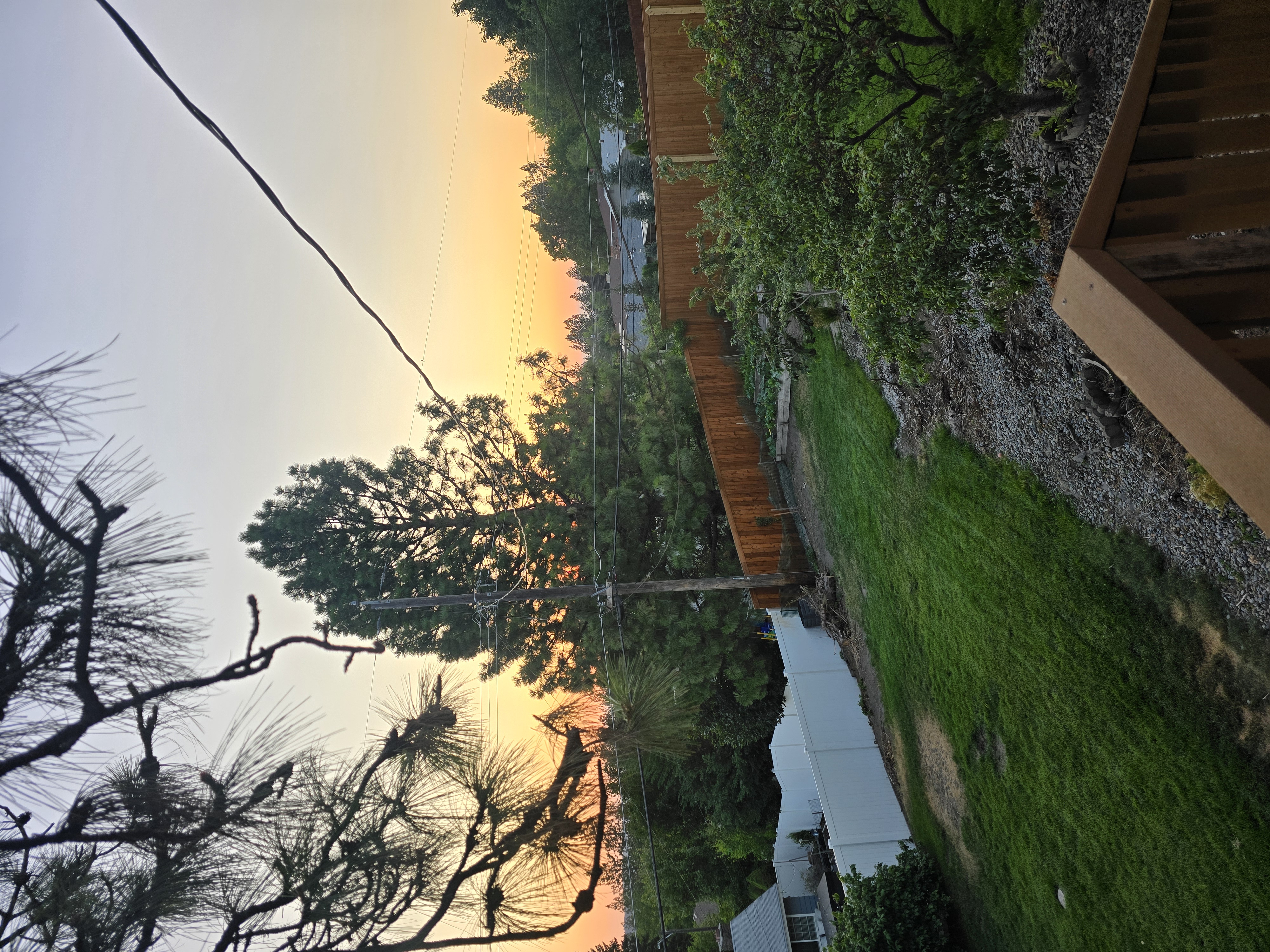 20240720-034403607-90fa-d08af7f429dd_1000004864.jpg