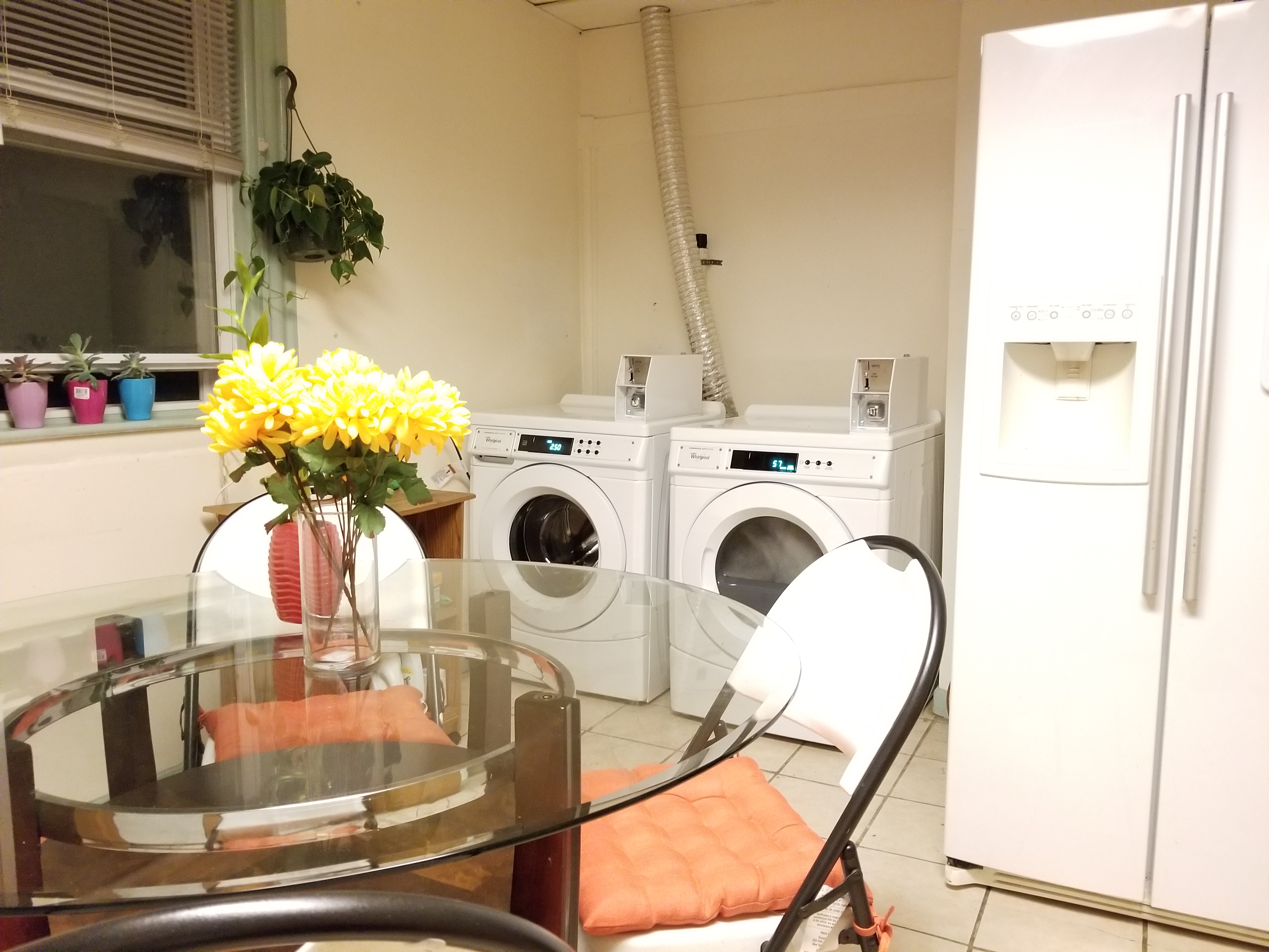 20240830-161309397-81bd-04d15c075658_20181012_29_laundry_fridge.jpg