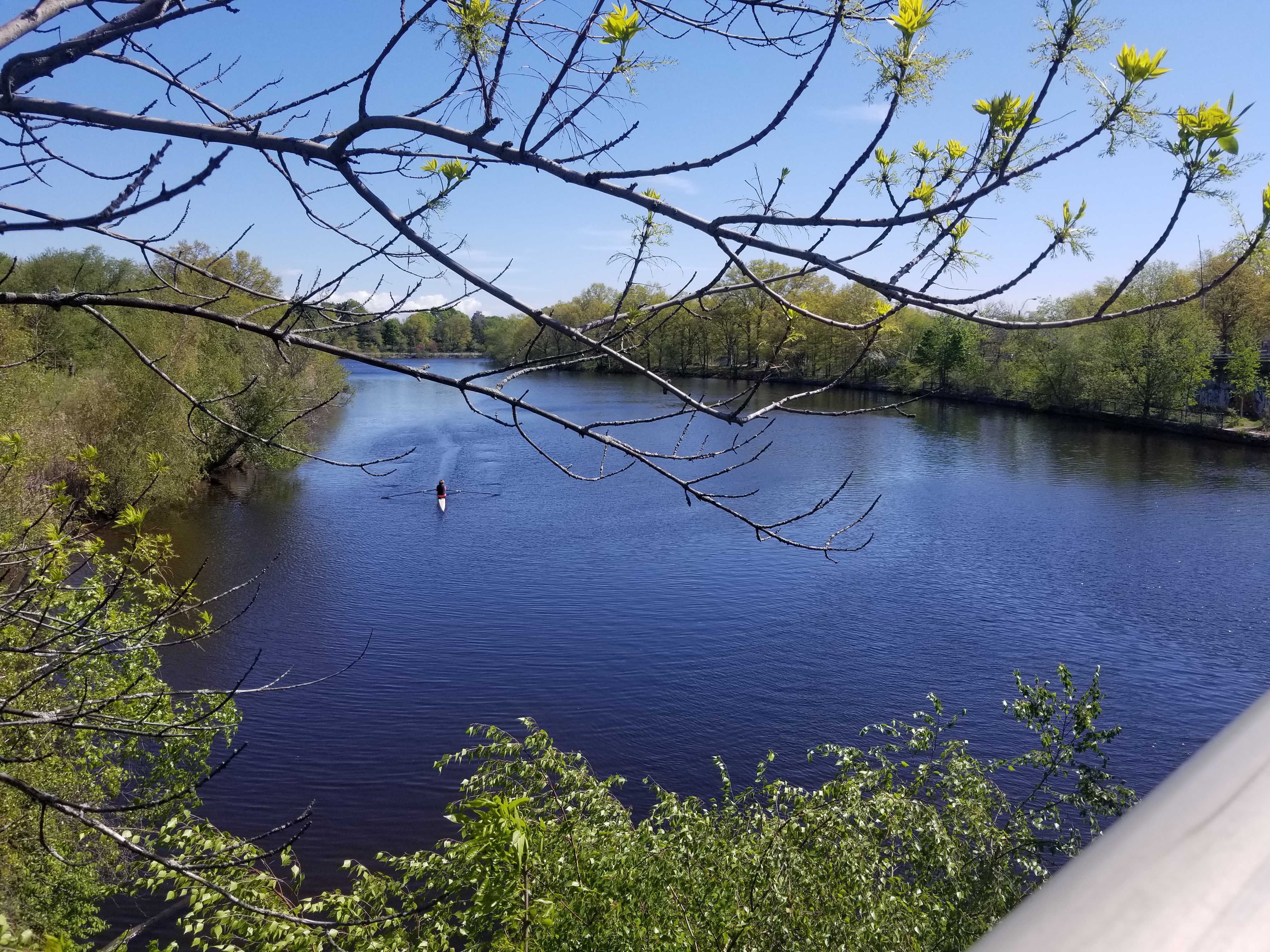 20240830-161931356-bd90-552277cc1105_20210507_101220_Charles_River.jpg