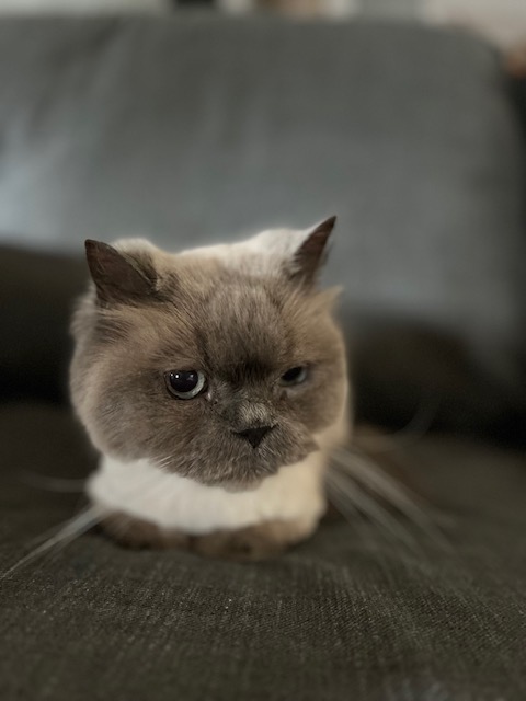 Stuart.jpg