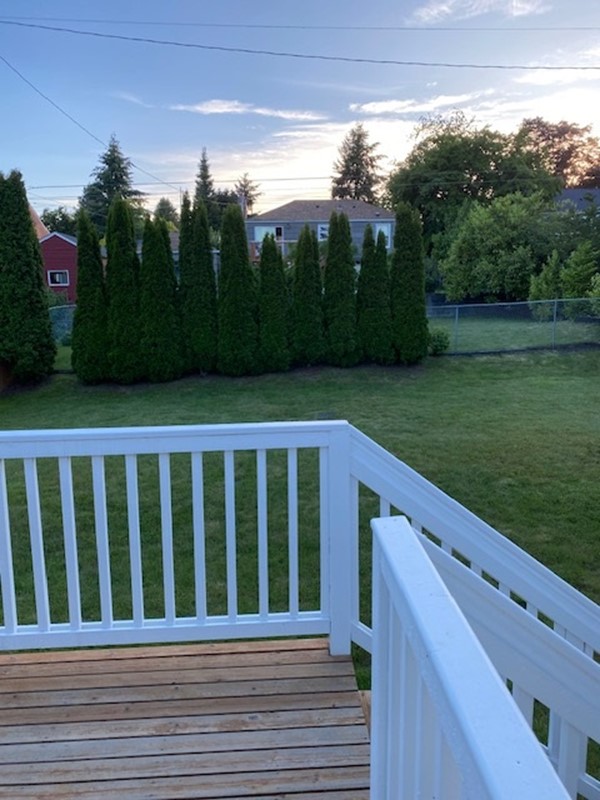 20240625-233632944-bc0f-aee7897031ed_backyard.jpg