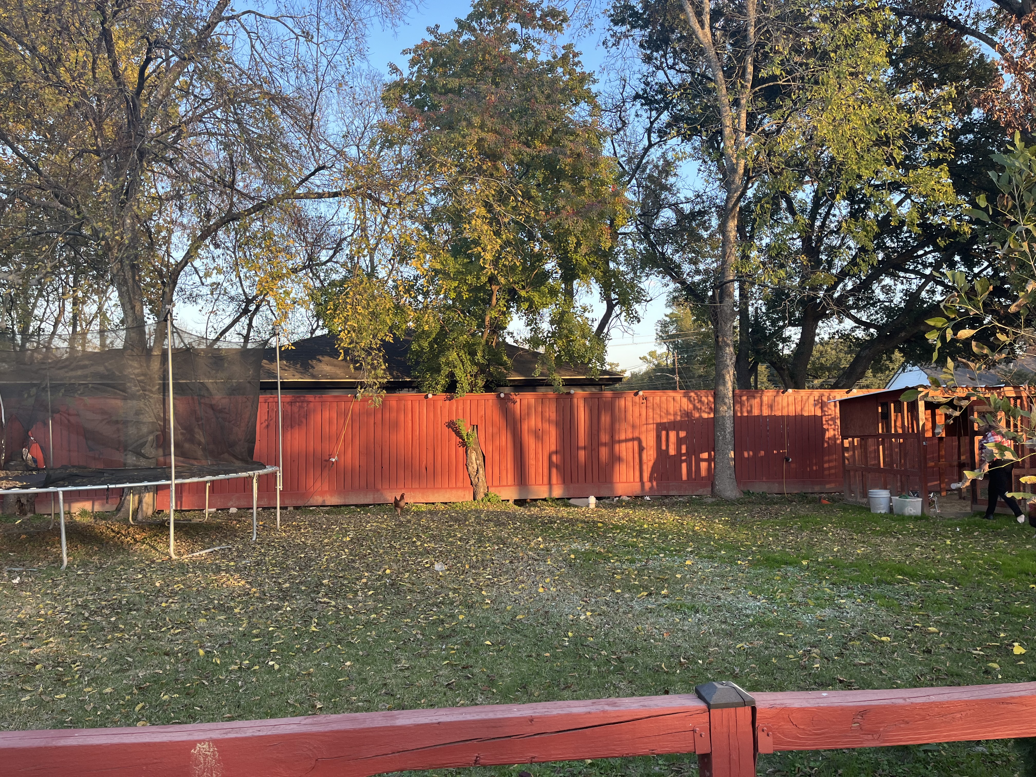 20240112-233635182-b956-a006b673987a.jpeg