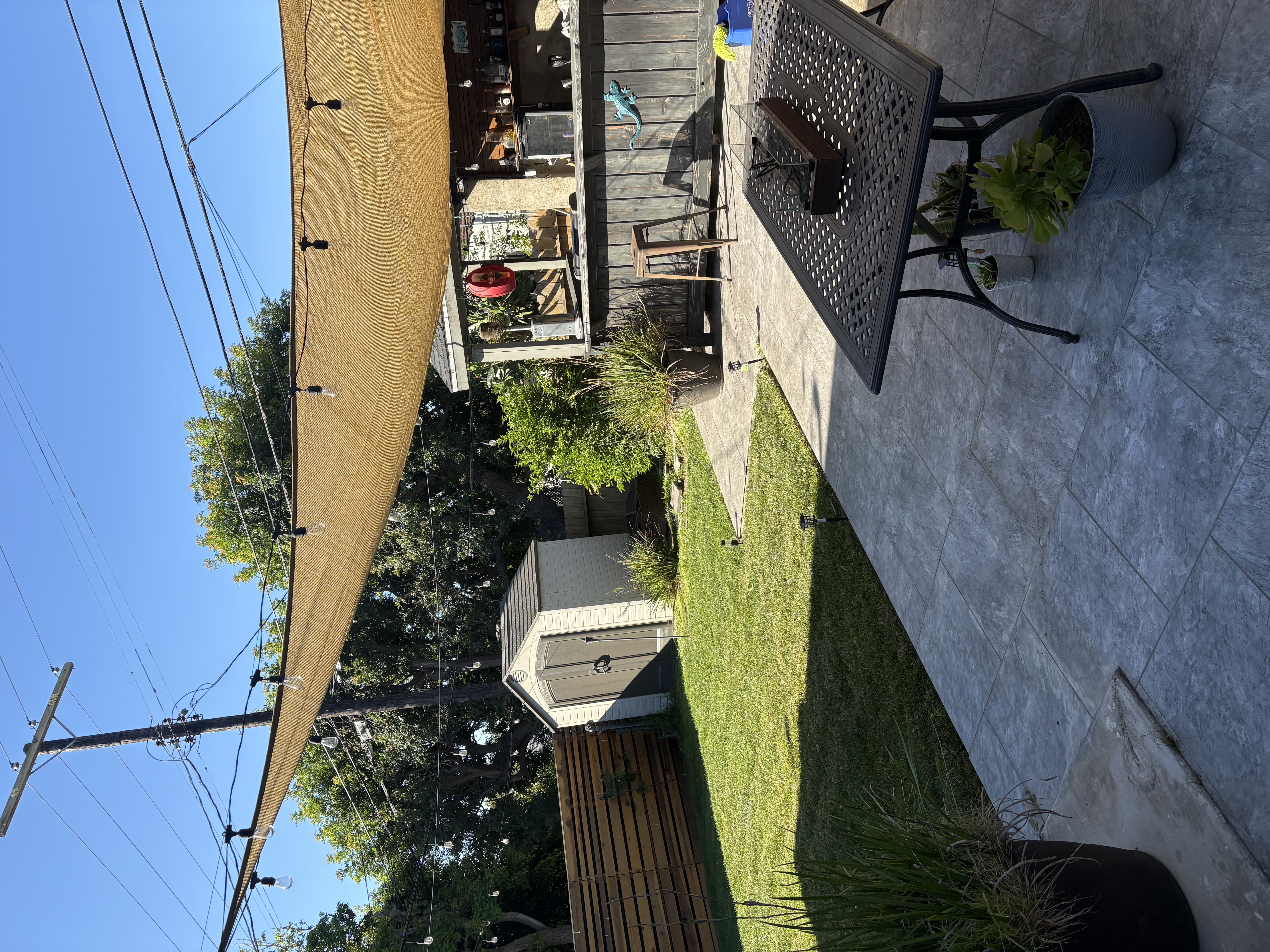 IMG_3869.jpeg