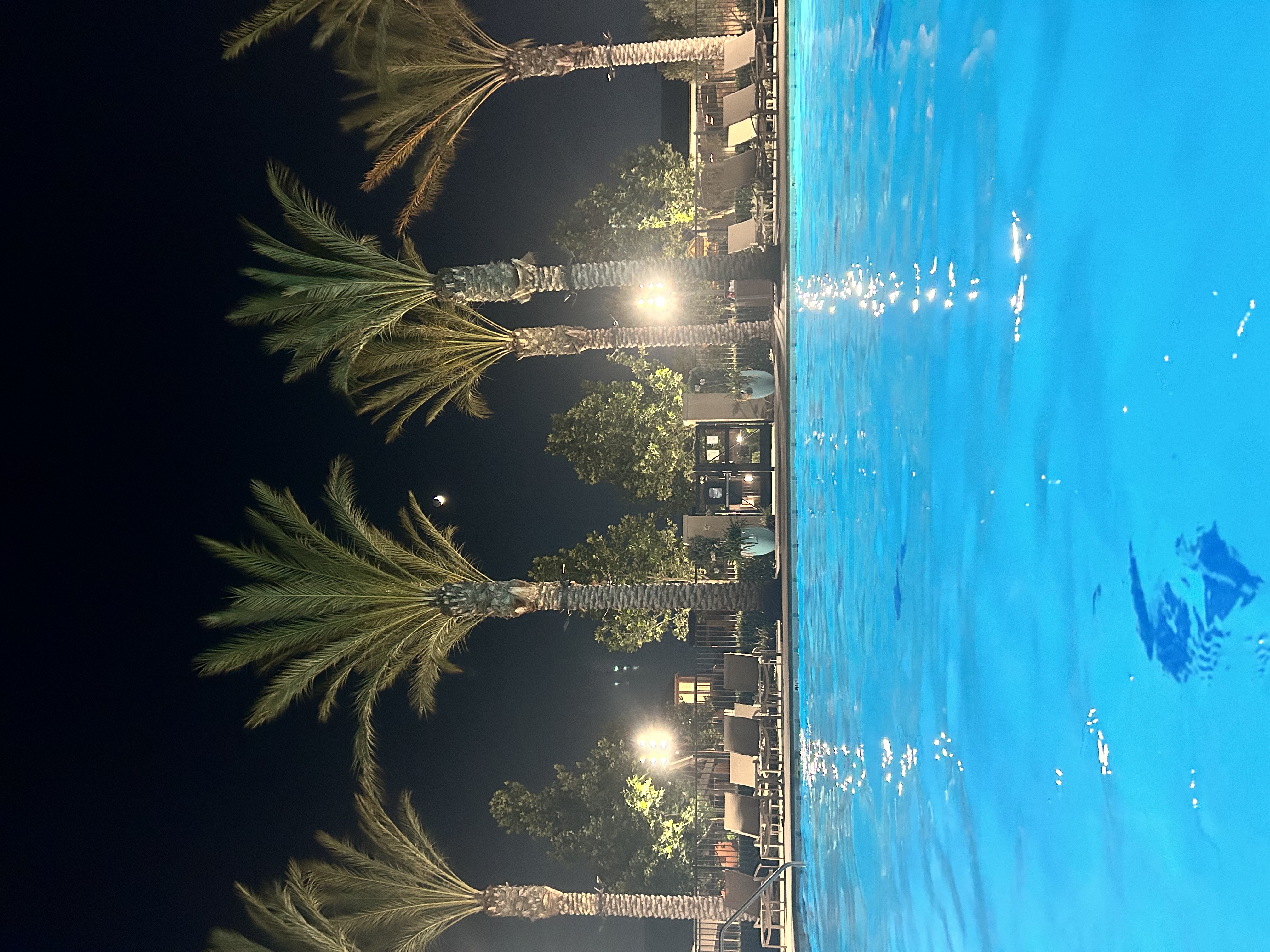 IMG_8683.jpeg