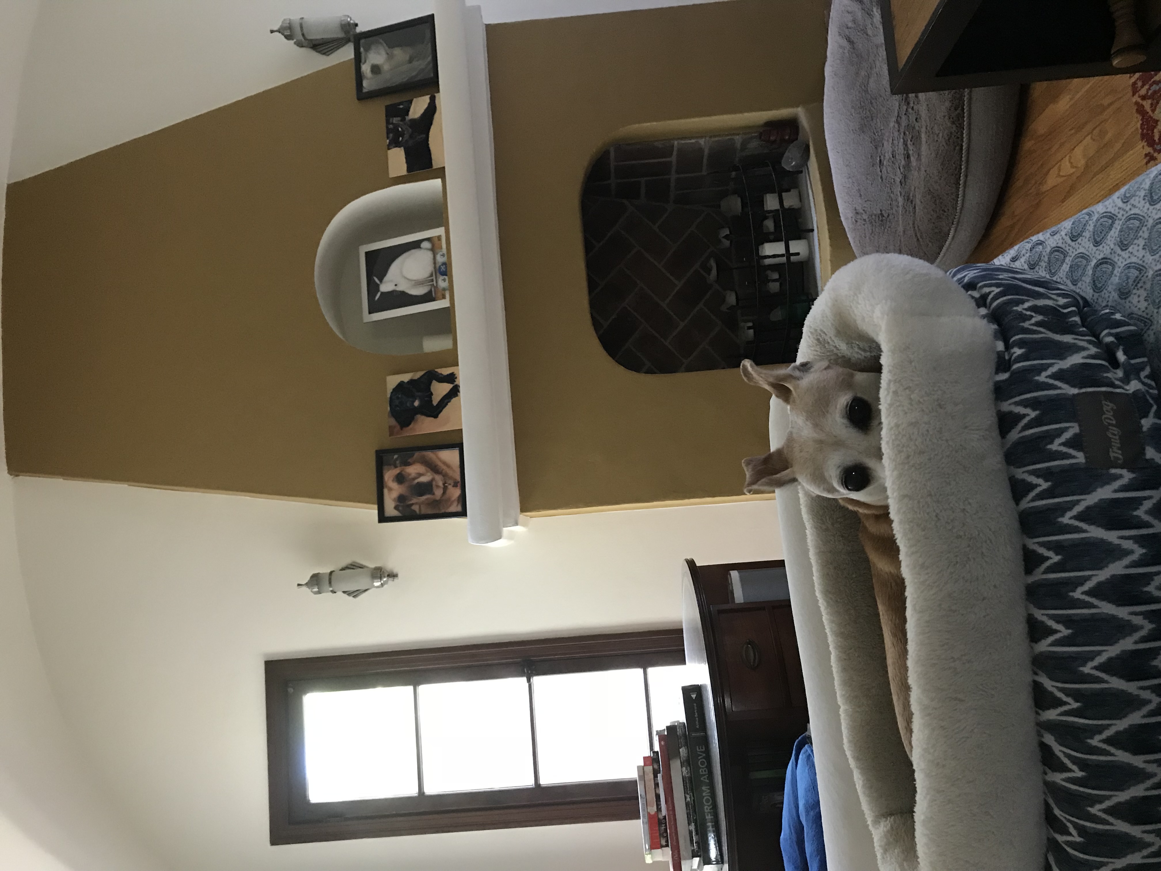 20240112-233946559-816a-0b6cd2c00b85.jpeg