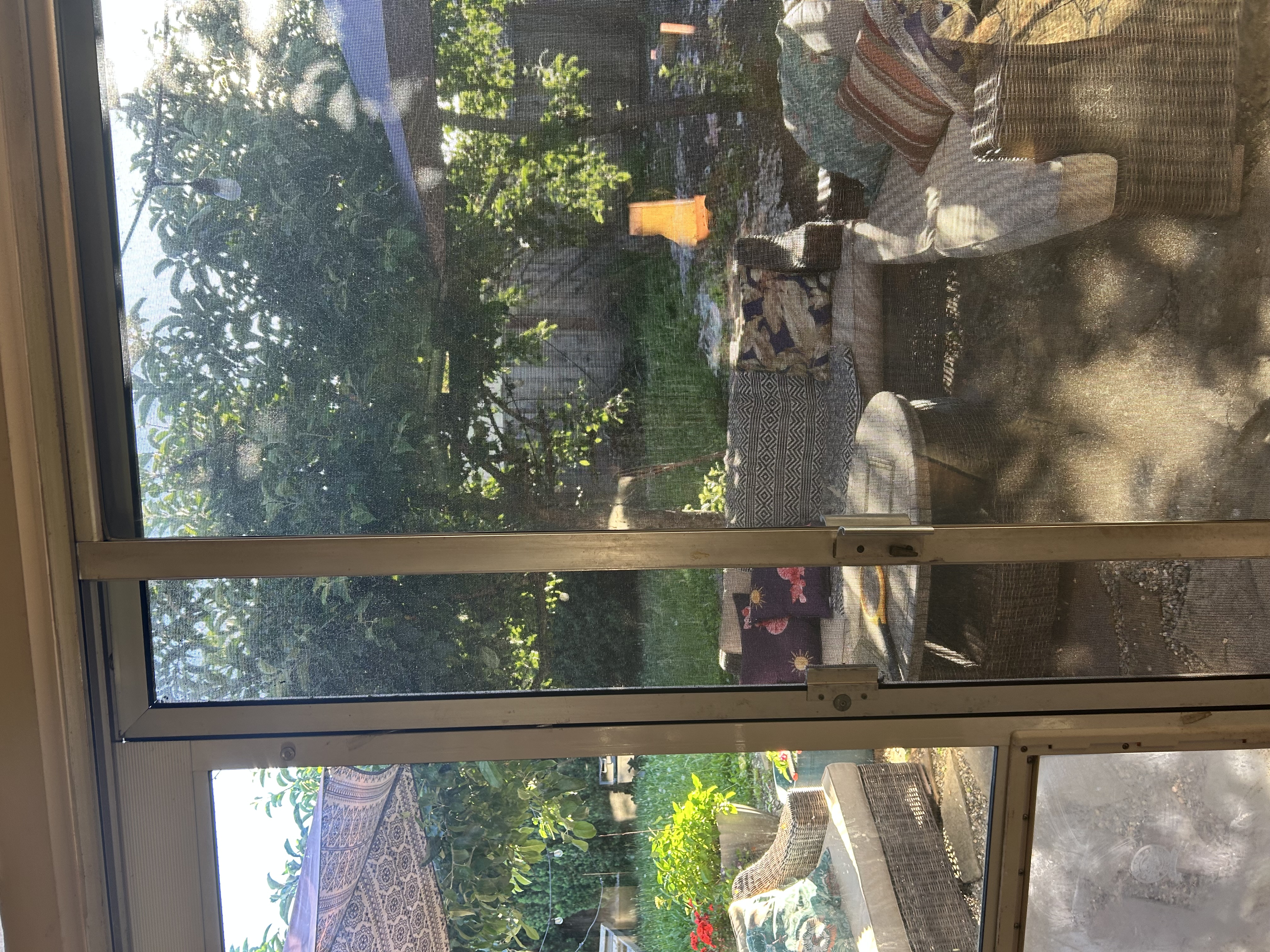 IMG_2398.jpeg