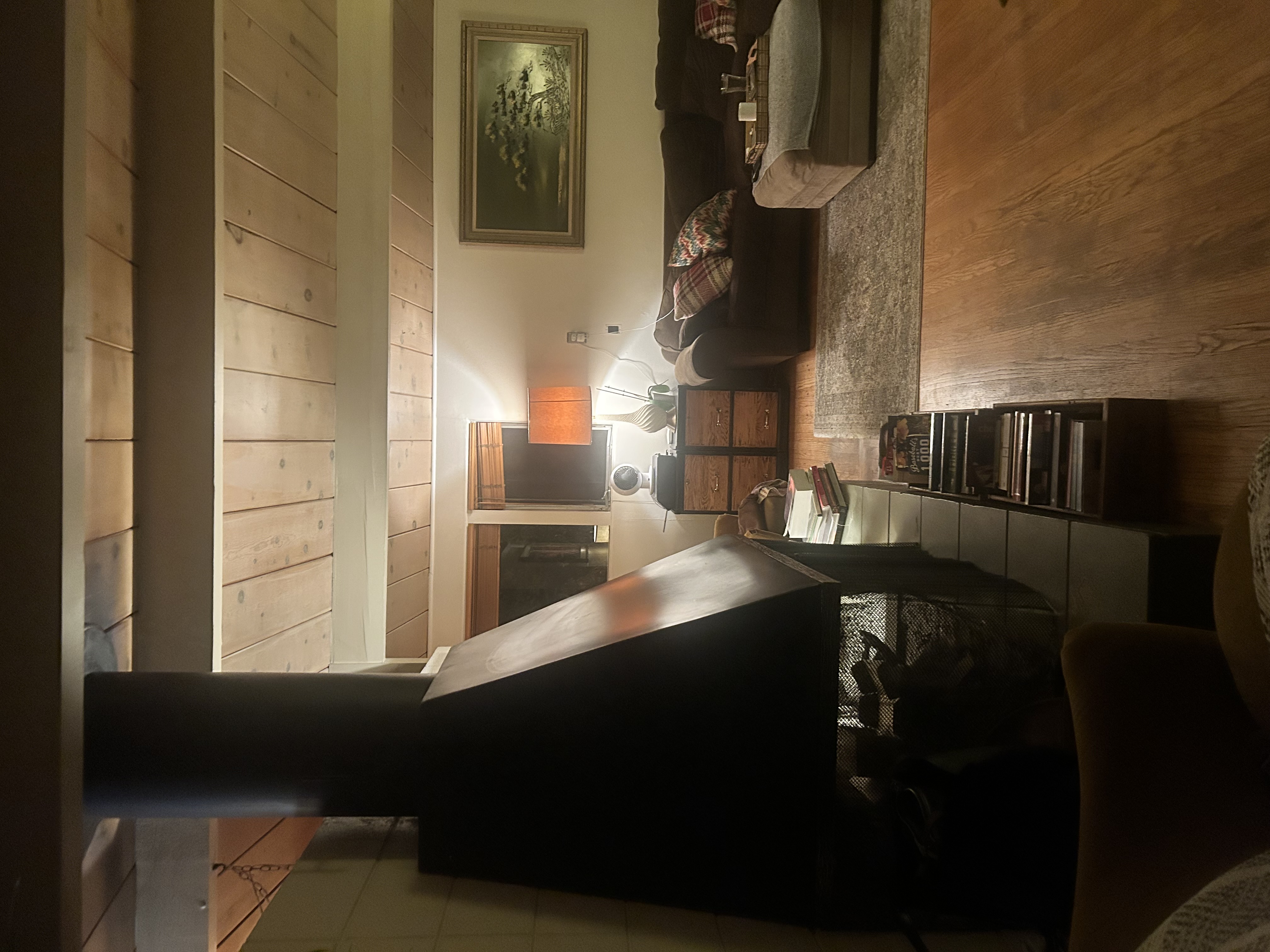 living room and fireplace.jpg