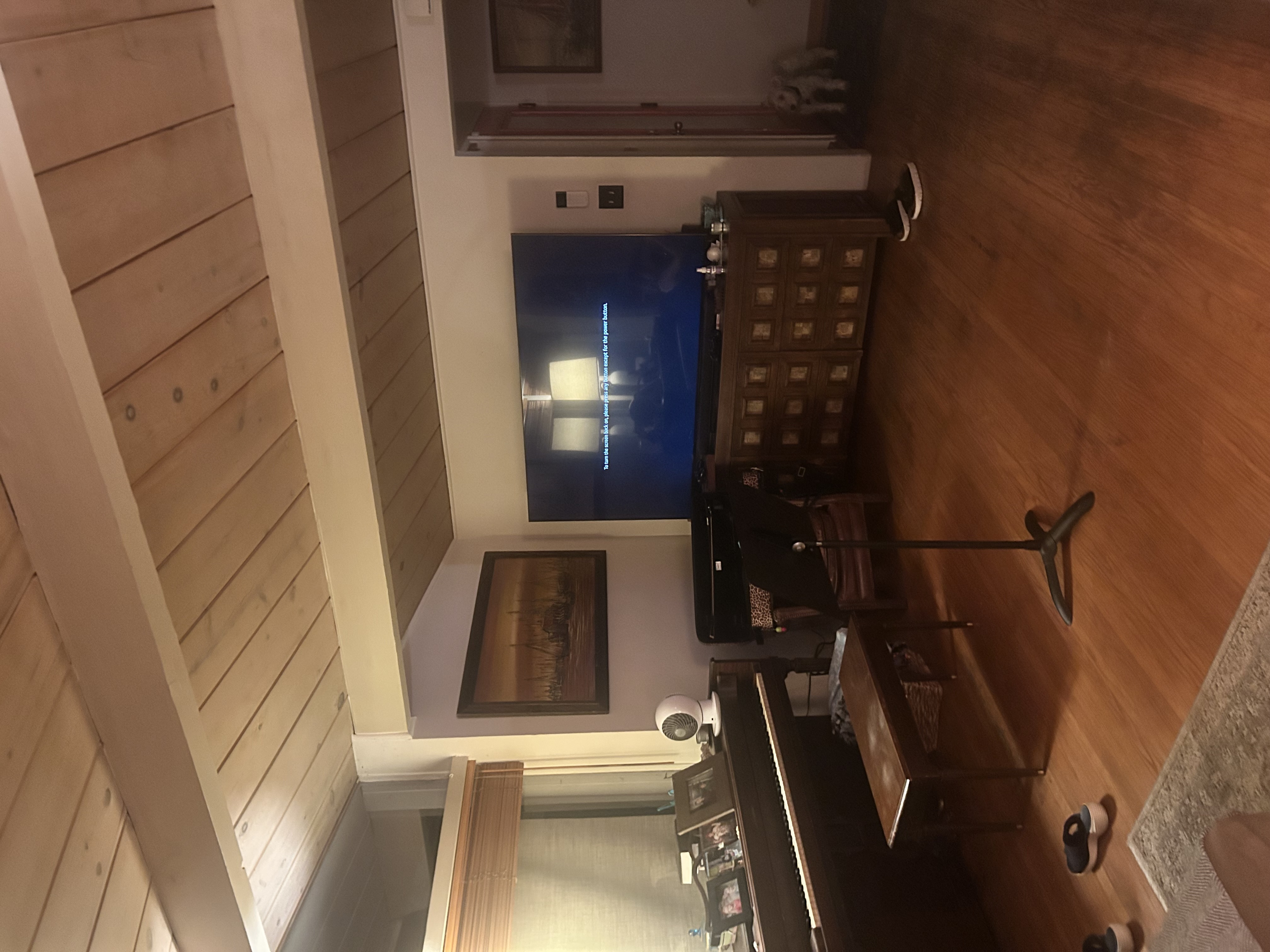 living room and tv.jpg