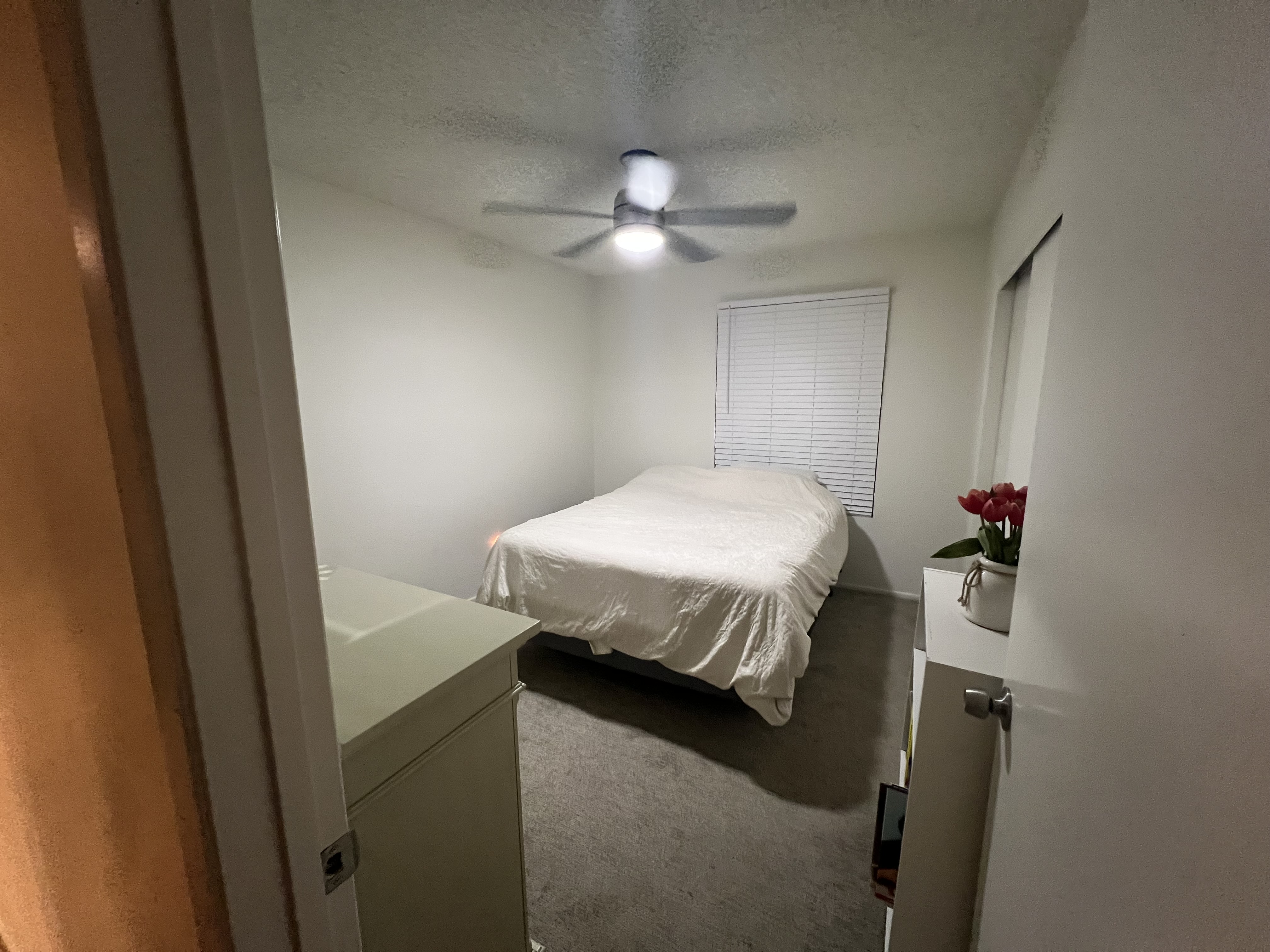 IMG_0234.jpeg